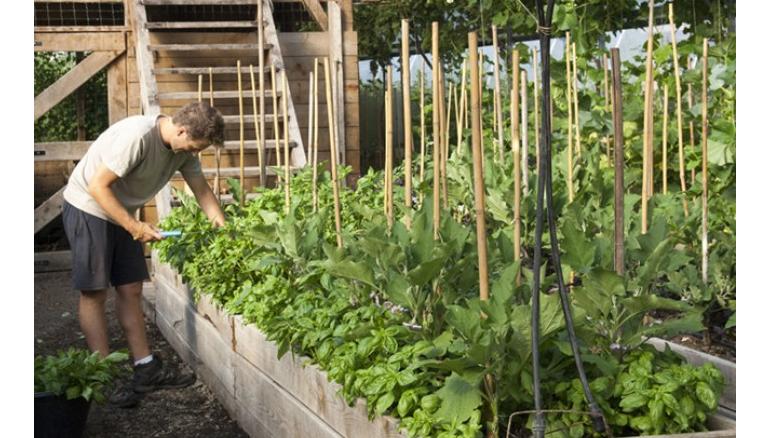 Atelier de jardinage urbain : introduction à la permaculture en
