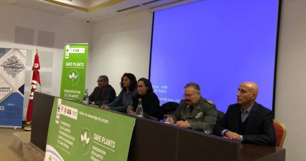 WWF projet de conservation des plantes patrimoniales à Garâa Sejnane